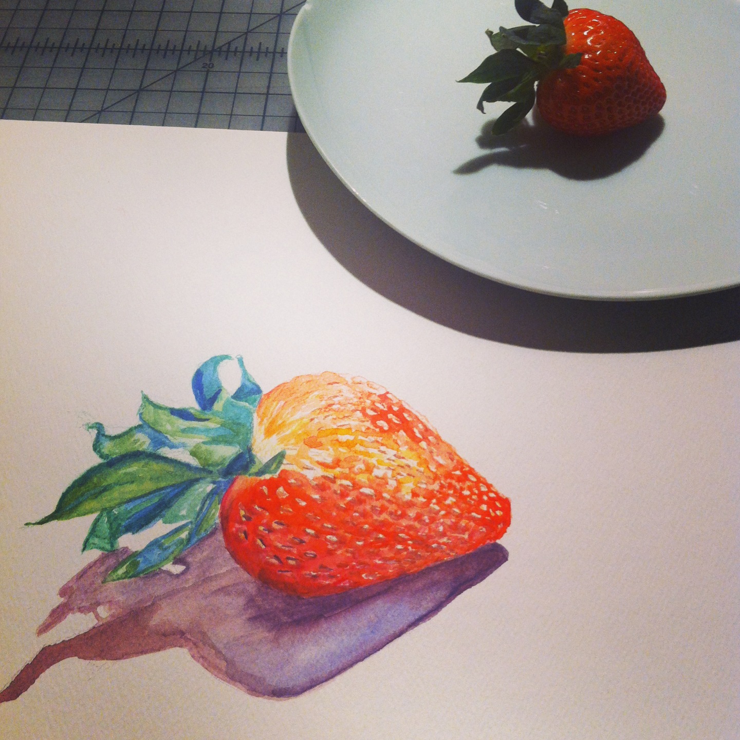 Organic Strawberry Study